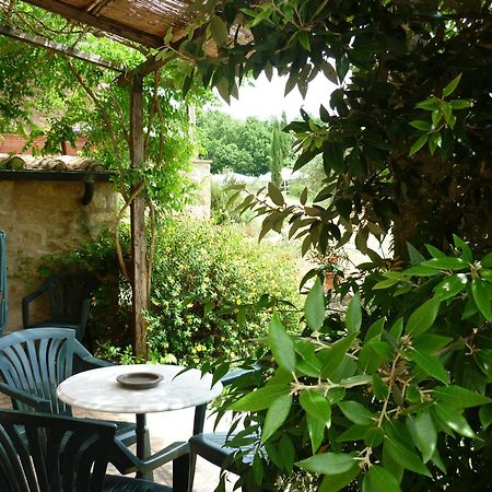 Agriturismo Apparita Montecastelli Pisano Szoba fotó