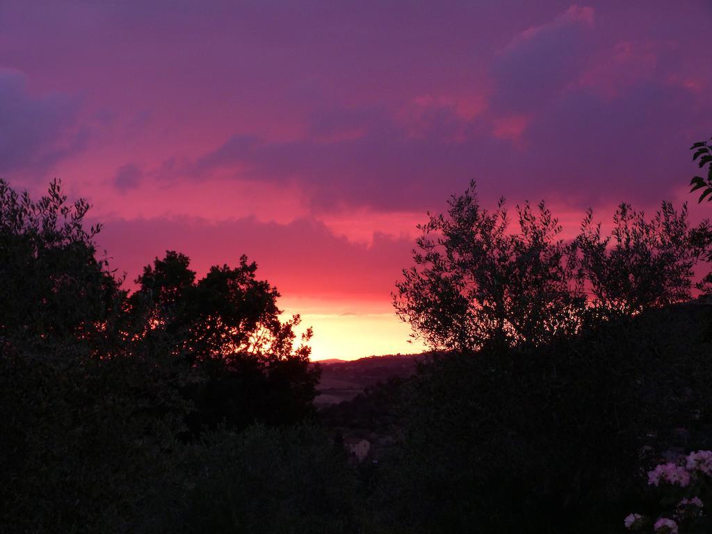 Agriturismo Apparita Montecastelli Pisano Kültér fotó