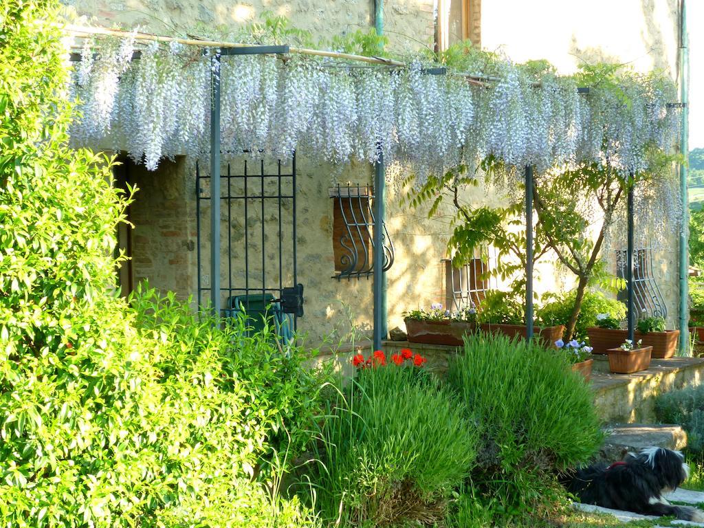 Agriturismo Apparita Montecastelli Pisano Kültér fotó